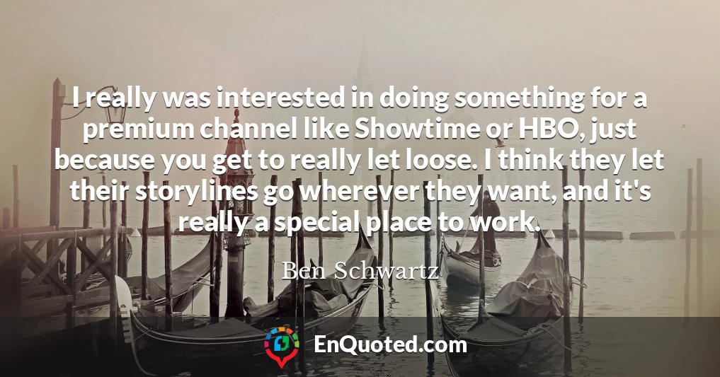 I really was interested in doing something for a premium channel like Showtime or HBO, just because you get to really let loose. I think they let their storylines go wherever they want, and it's really a special place to work.