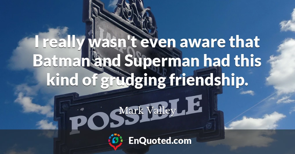 I really wasn't even aware that Batman and Superman had this kind of grudging friendship.