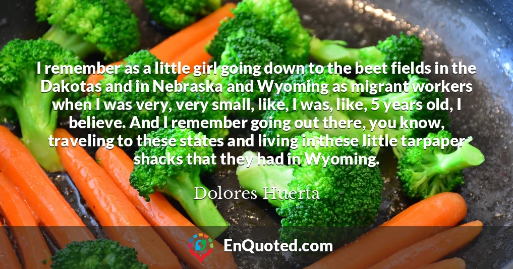 I remember as a little girl going down to the beet fields in the Dakotas and in Nebraska and Wyoming as migrant workers when I was very, very small, like, I was, like, 5 years old, I believe. And I remember going out there, you know, traveling to these states and living in these little tarpaper shacks that they had in Wyoming.