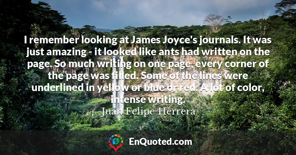 I remember looking at James Joyce's journals. It was just amazing - it looked like ants had written on the page. So much writing on one page, every corner of the page was filled. Some of the lines were underlined in yellow or blue or red. A lot of color, intense writing.