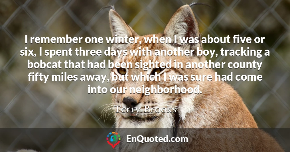 I remember one winter, when I was about five or six, I spent three days with another boy, tracking a bobcat that had been sighted in another county fifty miles away, but which I was sure had come into our neighborhood.