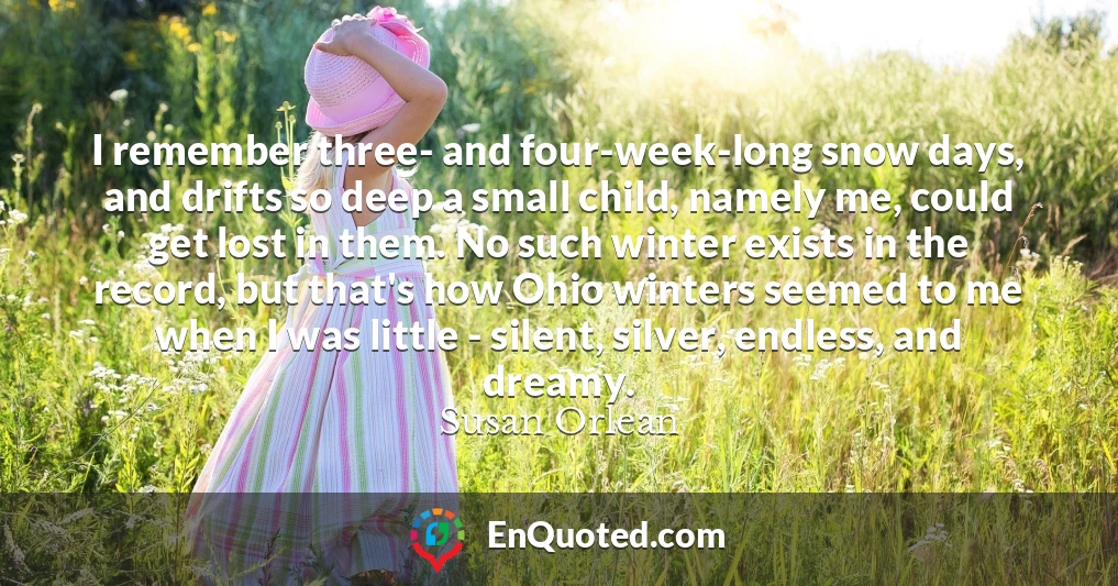 I remember three- and four-week-long snow days, and drifts so deep a small child, namely me, could get lost in them. No such winter exists in the record, but that's how Ohio winters seemed to me when I was little - silent, silver, endless, and dreamy.