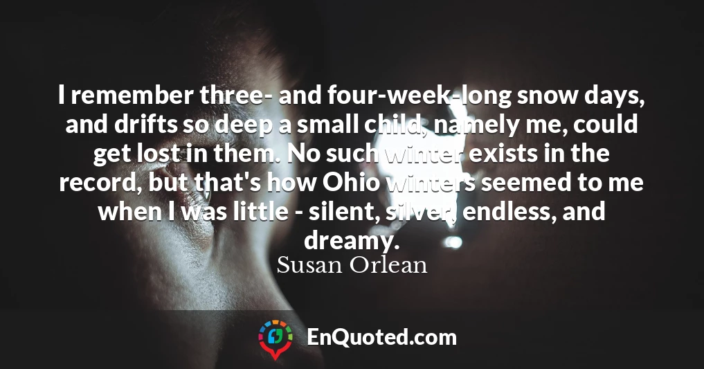 I remember three- and four-week-long snow days, and drifts so deep a small child, namely me, could get lost in them. No such winter exists in the record, but that's how Ohio winters seemed to me when I was little - silent, silver, endless, and dreamy.