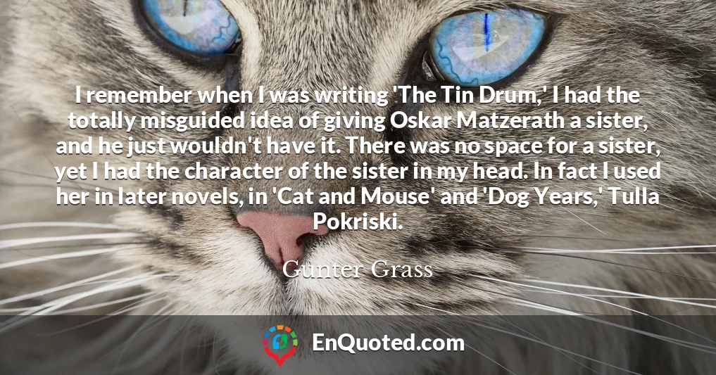 I remember when I was writing 'The Tin Drum,' I had the totally misguided idea of giving Oskar Matzerath a sister, and he just wouldn't have it. There was no space for a sister, yet I had the character of the sister in my head. In fact I used her in later novels, in 'Cat and Mouse' and 'Dog Years,' Tulla Pokriski.