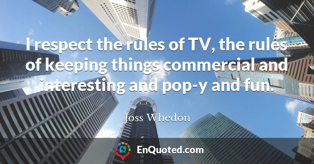 I respect the rules of TV, the rules of keeping things commercial and interesting and pop-y and fun.