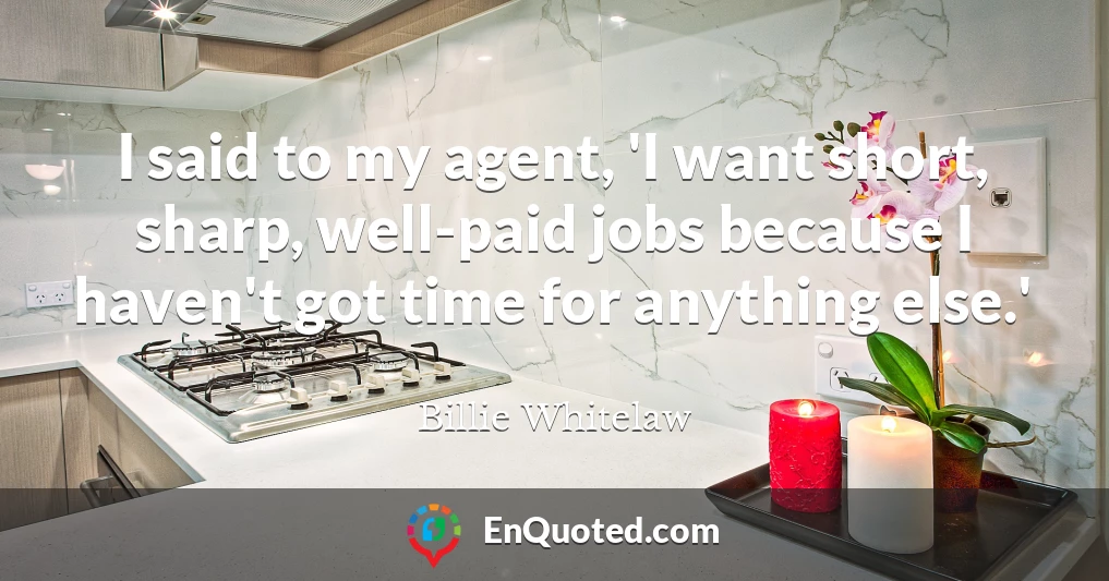 I said to my agent, 'I want short, sharp, well-paid jobs because I haven't got time for anything else.'
