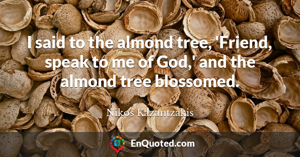 I said to the almond tree, 'Friend, speak to me of God,' and the almond tree blossomed.