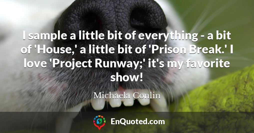 I sample a little bit of everything - a bit of 'House,' a little bit of 'Prison Break.' I love 'Project Runway;' it's my favorite show!