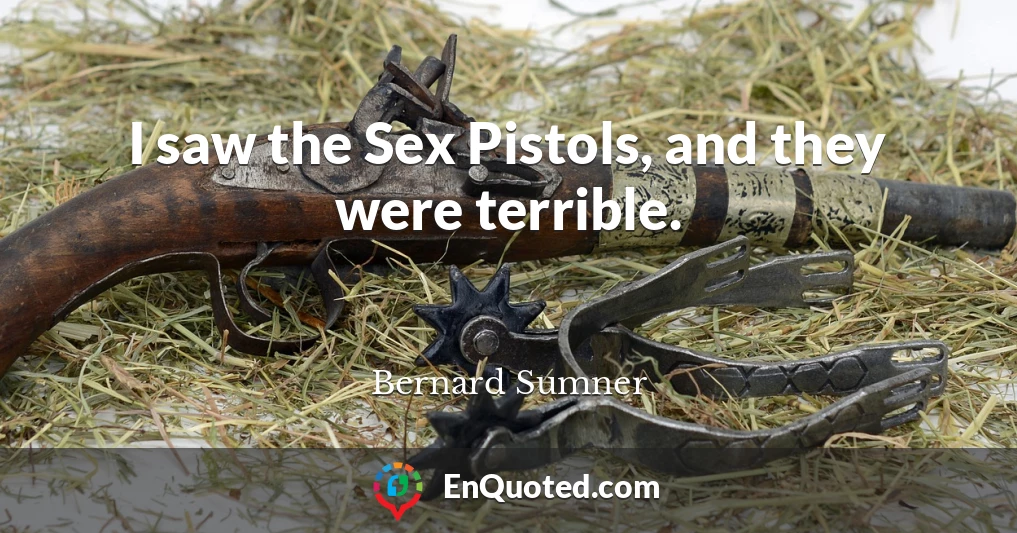 I saw the Sex Pistols, and they were terrible.