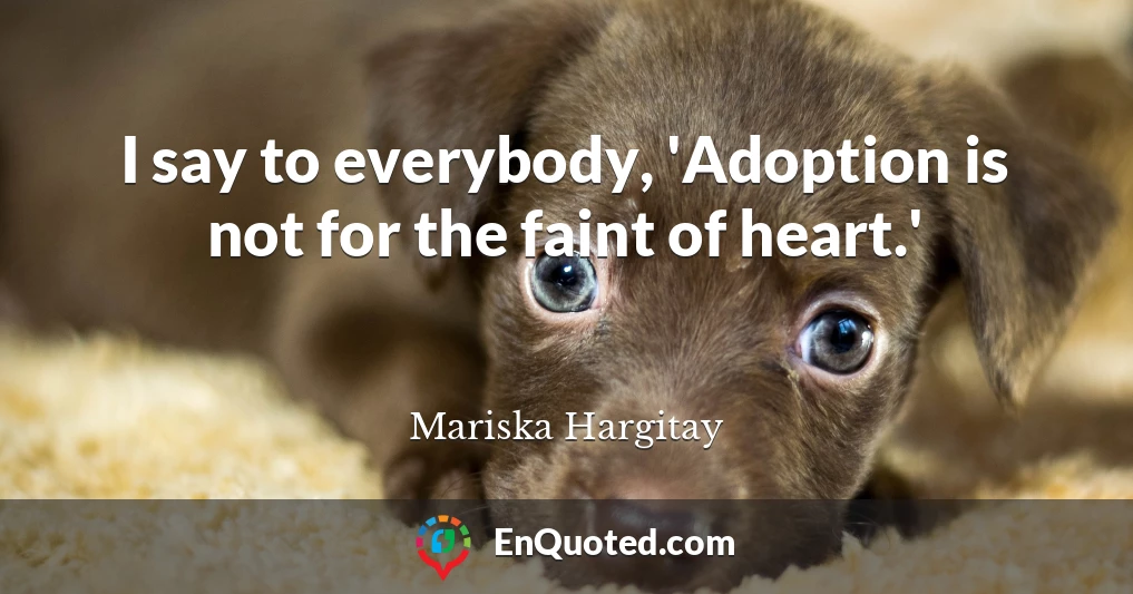I say to everybody, 'Adoption is not for the faint of heart.'