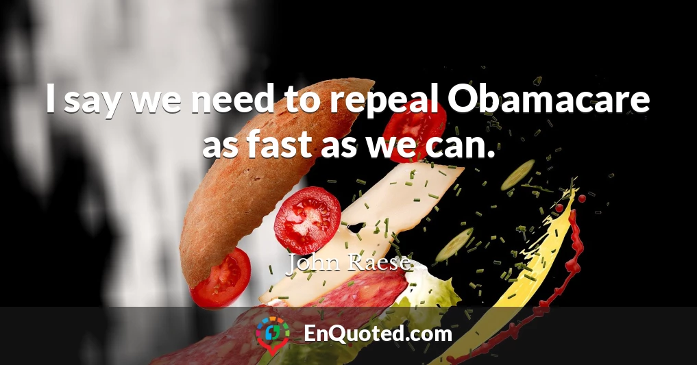 I say we need to repeal Obamacare as fast as we can.
