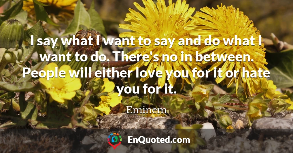 I say what I want to say and do what I want to do. There's no in between. People will either love you for it or hate you for it.