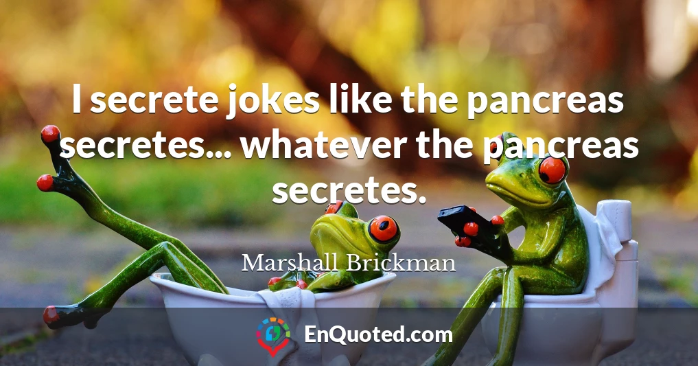 I secrete jokes like the pancreas secretes... whatever the pancreas secretes.