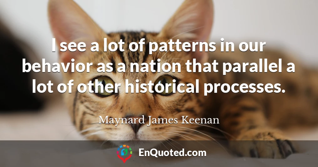 I see a lot of patterns in our behavior as a nation that parallel a lot of other historical processes.