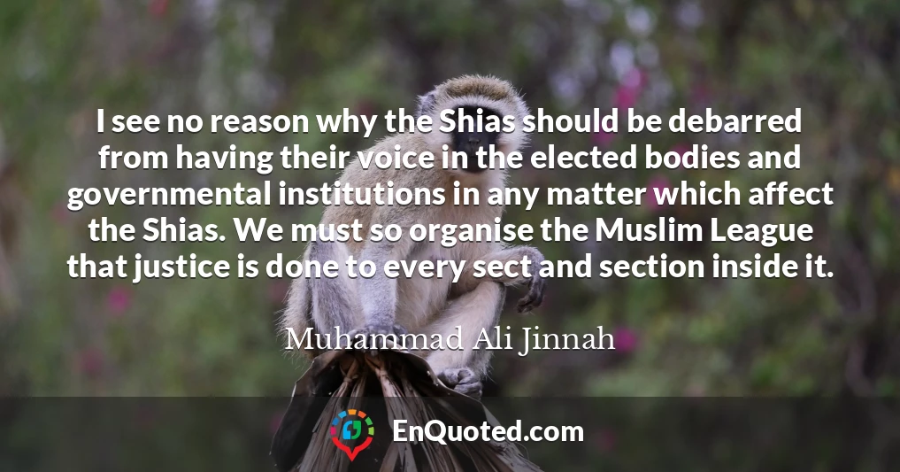 I see no reason why the Shias should be debarred from having their voice in the elected bodies and governmental institutions in any matter which affect the Shias. We must so organise the Muslim League that justice is done to every sect and section inside it.