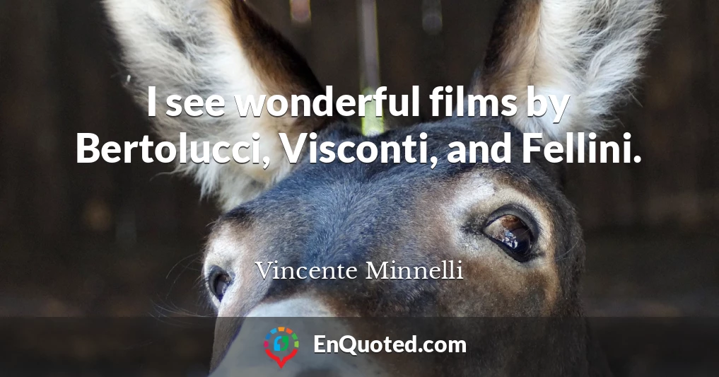 I see wonderful films by Bertolucci, Visconti, and Fellini.
