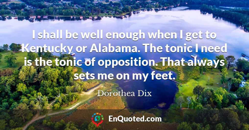 I shall be well enough when I get to Kentucky or Alabama. The tonic I need is the tonic of opposition. That always sets me on my feet.