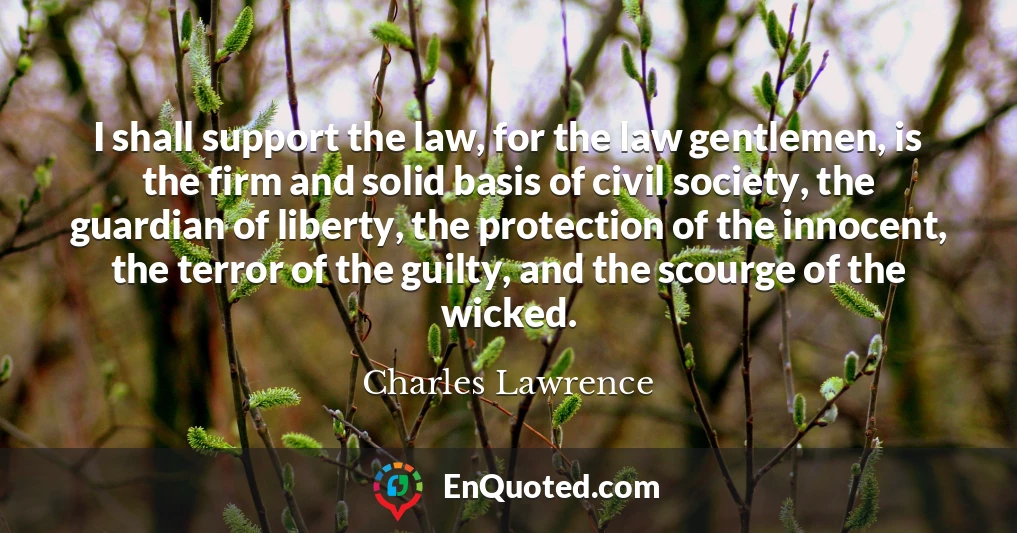 I shall support the law, for the law gentlemen, is the firm and solid basis of civil society, the guardian of liberty, the protection of the innocent, the terror of the guilty, and the scourge of the wicked.