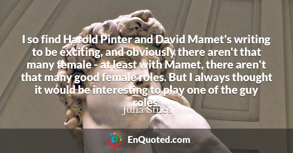 I so find Harold Pinter and David Mamet's writing to be exciting, and obviously there aren't that many female - at least with Mamet, there aren't that many good female roles. But I always thought it would be interesting to play one of the guy roles.