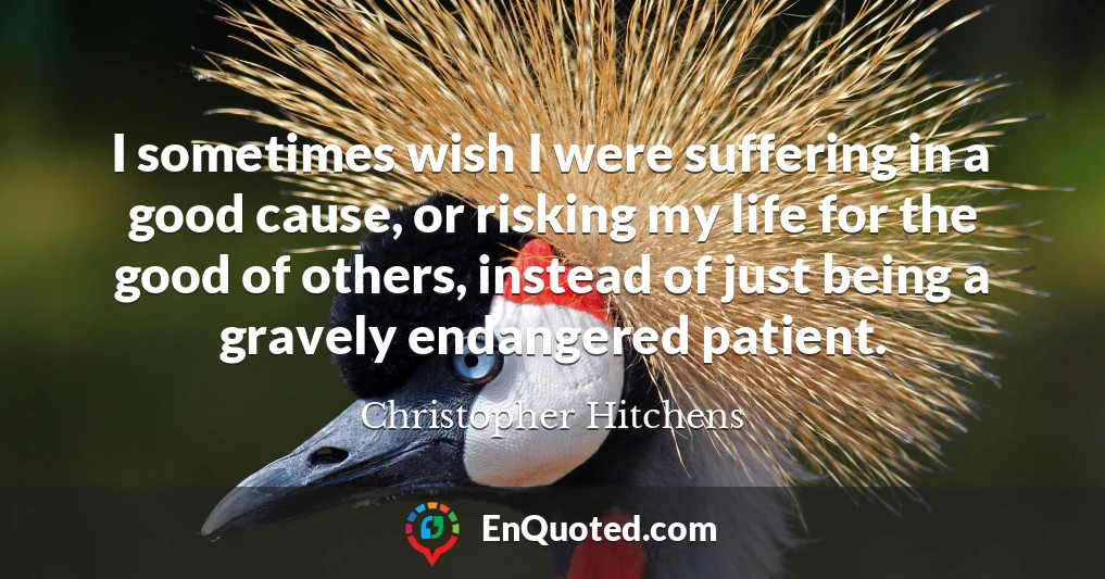 I sometimes wish I were suffering in a good cause, or risking my life for the good of others, instead of just being a gravely endangered patient.