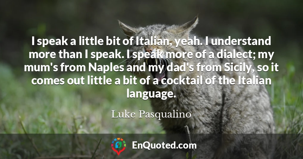 I speak a little bit of Italian, yeah. I understand more than I speak. I speak more of a dialect; my mum's from Naples and my dad's from Sicily, so it comes out little a bit of a cocktail of the Italian language.