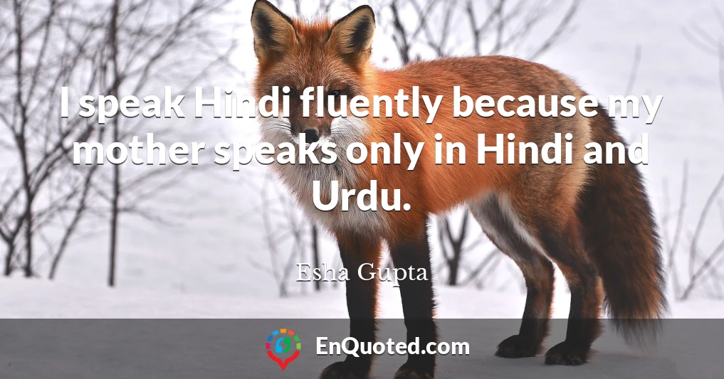 I speak Hindi fluently because my mother speaks only in Hindi and Urdu.