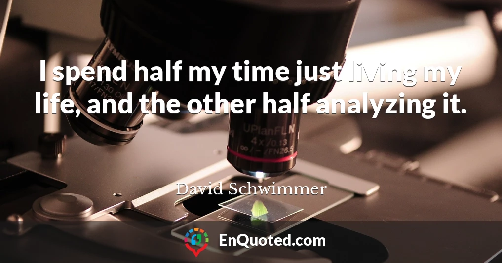 I spend half my time just living my life, and the other half analyzing it.