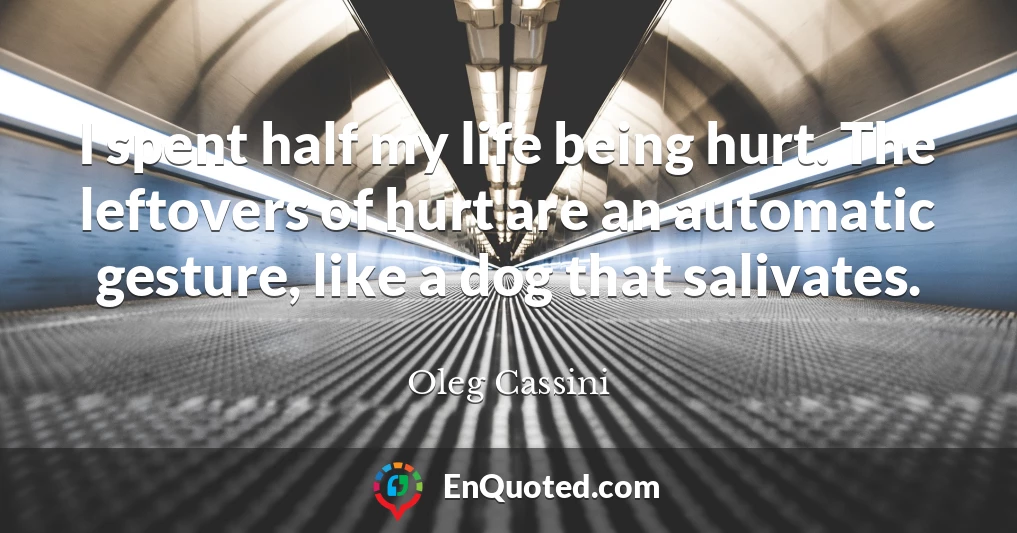 I spent half my life being hurt. The leftovers of hurt are an automatic gesture, like a dog that salivates.