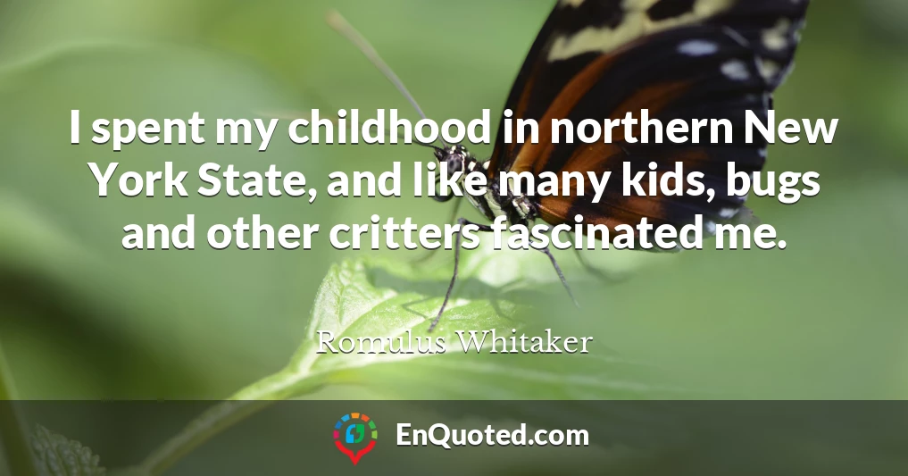 I spent my childhood in northern New York State, and like many kids, bugs and other critters fascinated me.