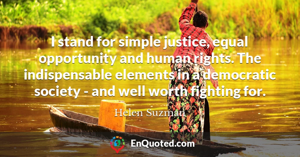 I stand for simple justice, equal opportunity and human rights. The indispensable elements in a democratic society - and well worth fighting for.