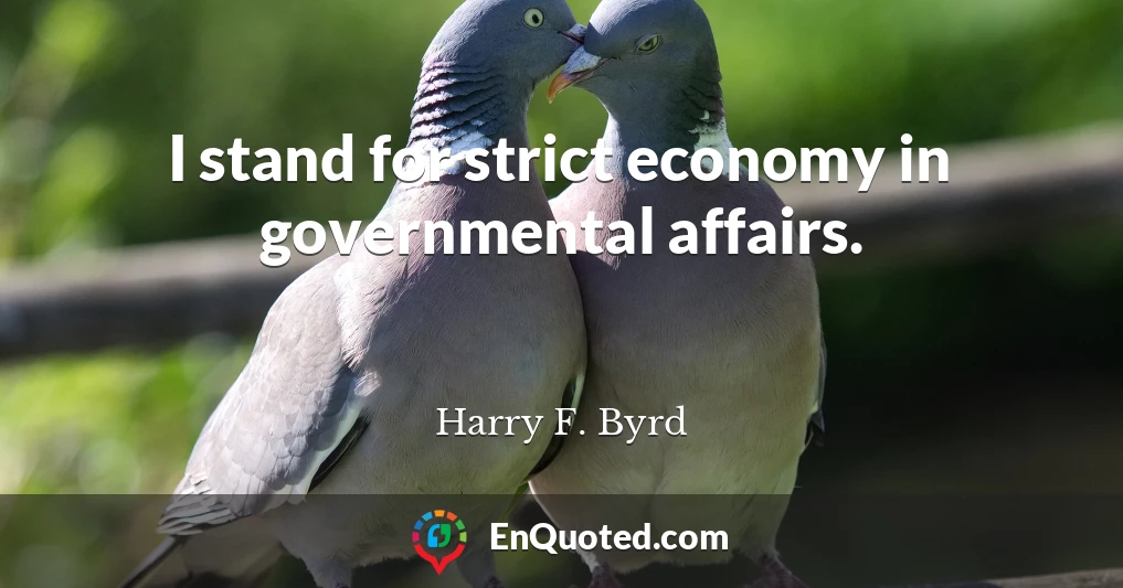 I stand for strict economy in governmental affairs.