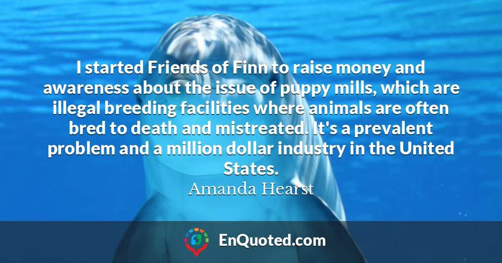 I started Friends of Finn to raise money and awareness about the issue of puppy mills, which are illegal breeding facilities where animals are often bred to death and mistreated. It's a prevalent problem and a million dollar industry in the United States.