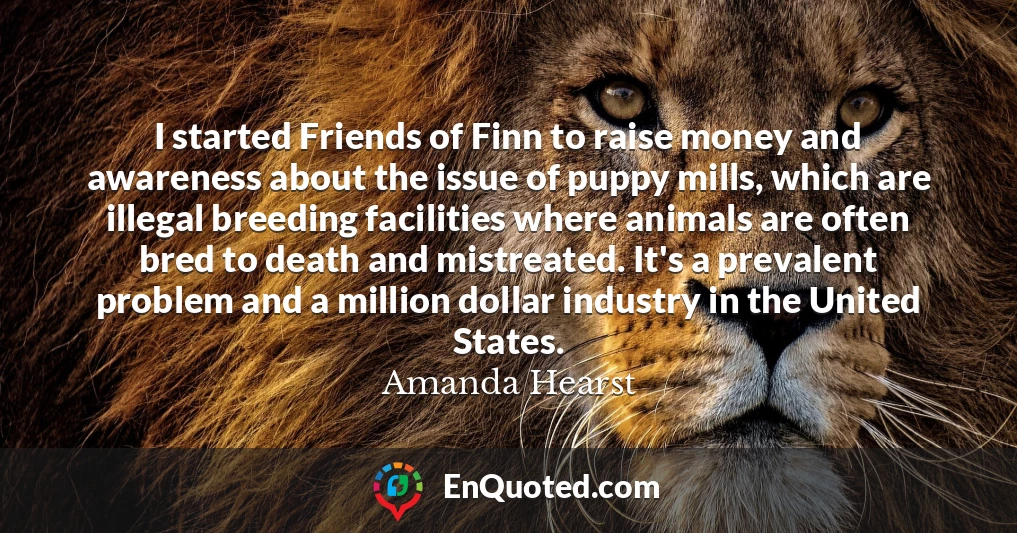 I started Friends of Finn to raise money and awareness about the issue of puppy mills, which are illegal breeding facilities where animals are often bred to death and mistreated. It's a prevalent problem and a million dollar industry in the United States.