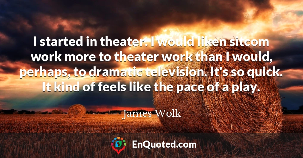 I started in theater. I would liken sitcom work more to theater work than I would, perhaps, to dramatic television. It's so quick. It kind of feels like the pace of a play.