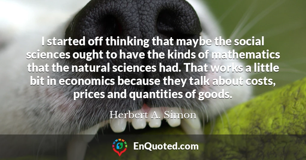 I started off thinking that maybe the social sciences ought to have the kinds of mathematics that the natural sciences had. That works a little bit in economics because they talk about costs, prices and quantities of goods.