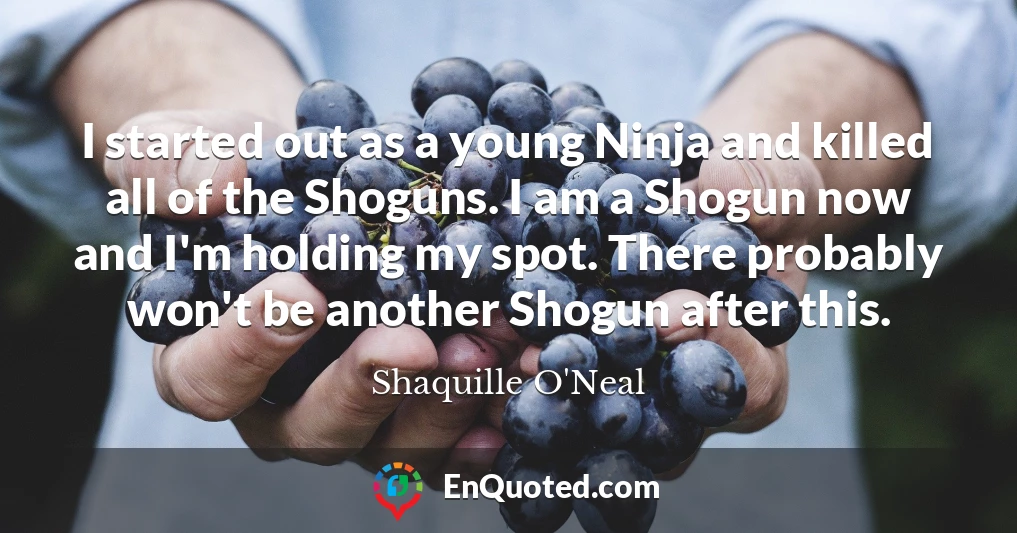 I started out as a young Ninja and killed all of the Shoguns. I am a Shogun now and I'm holding my spot. There probably won't be another Shogun after this.