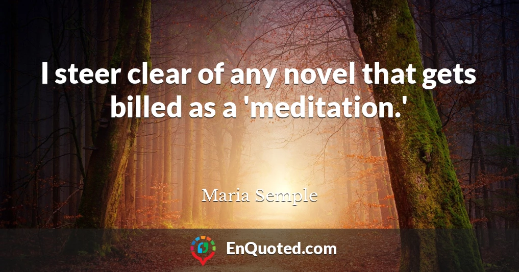 I steer clear of any novel that gets billed as a 'meditation.'