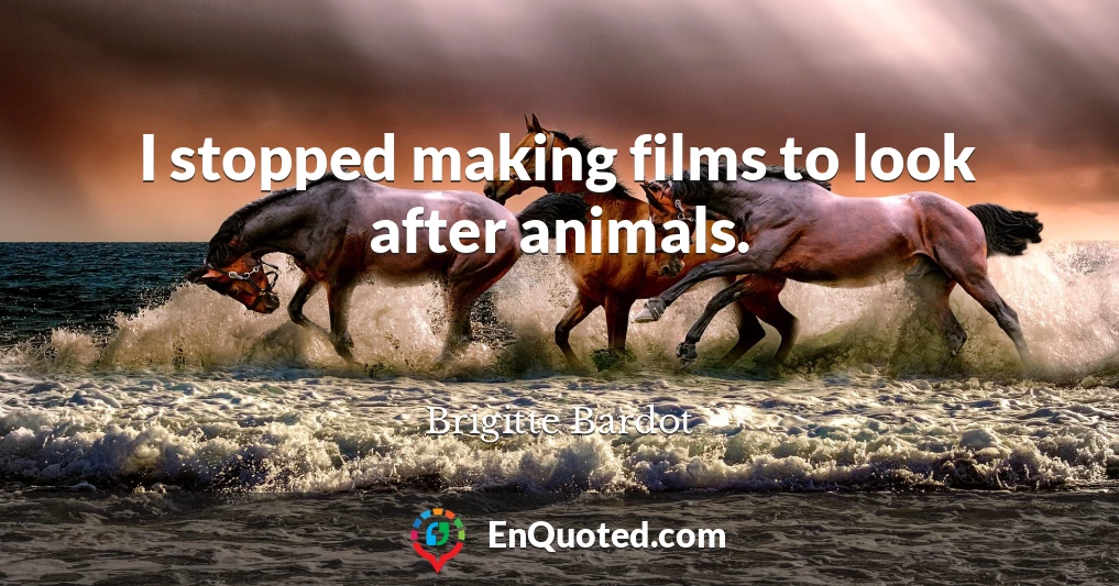 I stopped making films to look after animals.