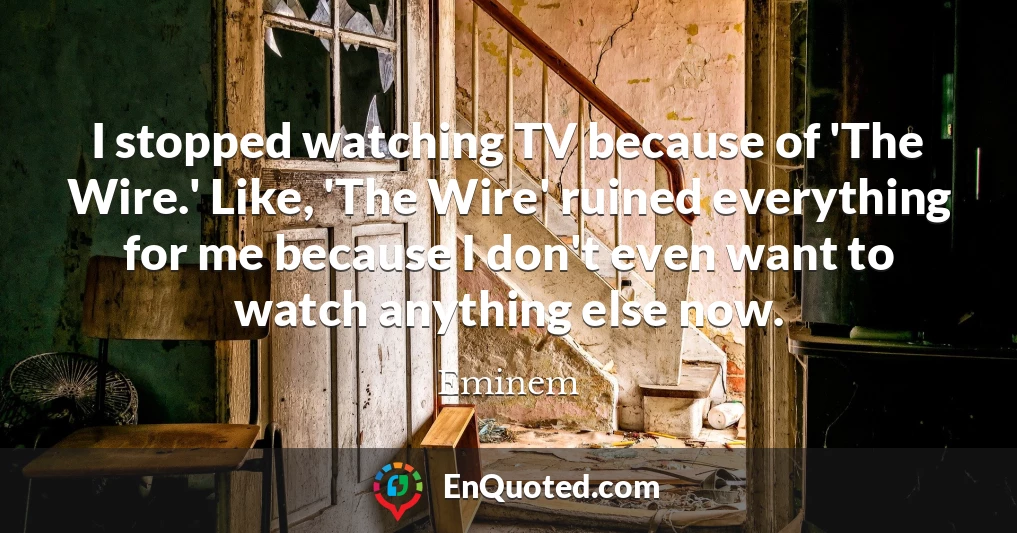I stopped watching TV because of 'The Wire.' Like, 'The Wire' ruined everything for me because I don't even want to watch anything else now.