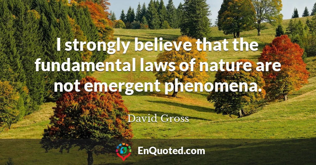 I strongly believe that the fundamental laws of nature are not emergent phenomena.