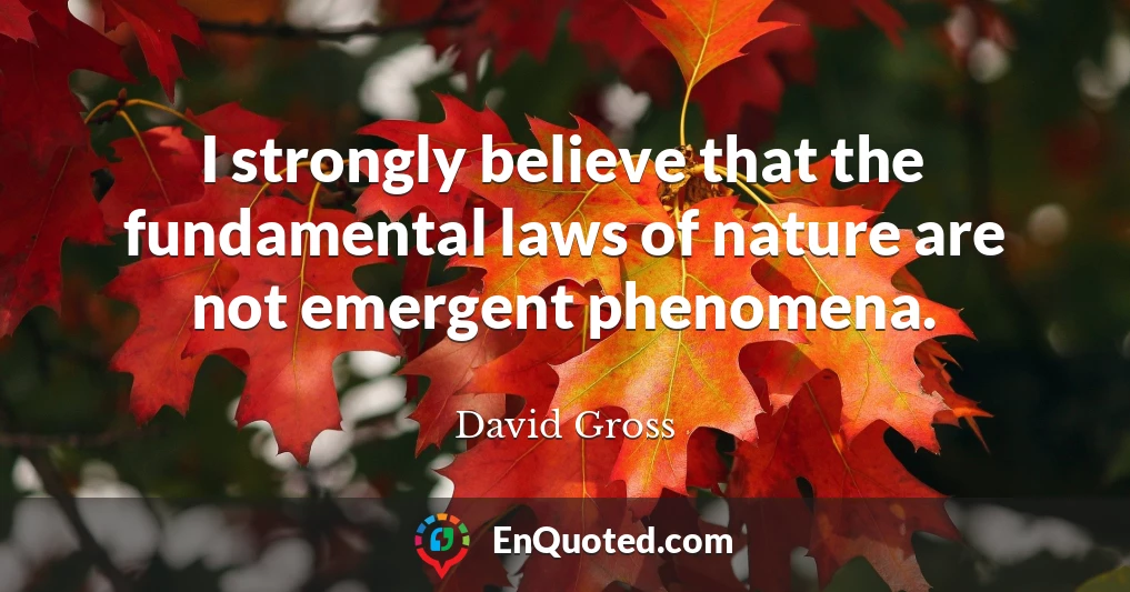 I strongly believe that the fundamental laws of nature are not emergent phenomena.