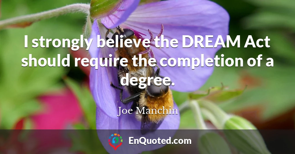 I strongly believe the DREAM Act should require the completion of a degree.