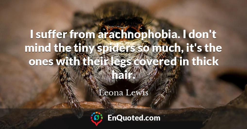 I suffer from arachnophobia. I don't mind the tiny spiders so much, it's the ones with their legs covered in thick hair.