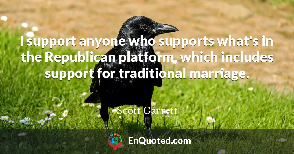I support anyone who supports what's in the Republican platform, which includes support for traditional marriage.