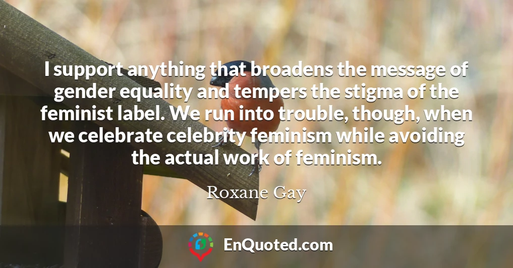 I support anything that broadens the message of gender equality and tempers the stigma of the feminist label. We run into trouble, though, when we celebrate celebrity feminism while avoiding the actual work of feminism.