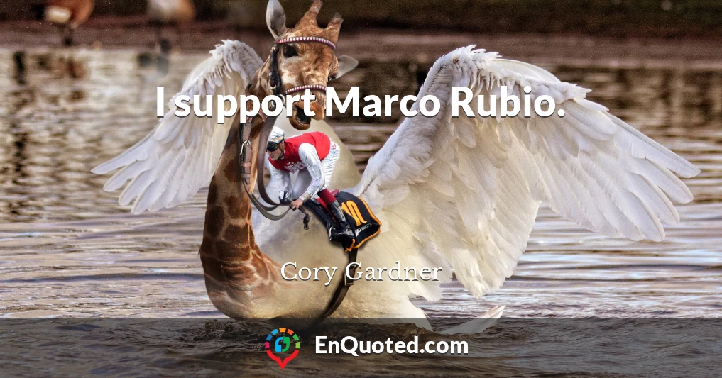 I support Marco Rubio.