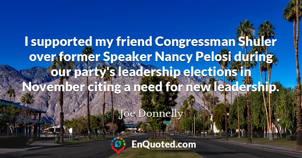 I supported my friend Congressman Shuler over former Speaker Nancy Pelosi during our party's leadership elections in November citing a need for new leadership.