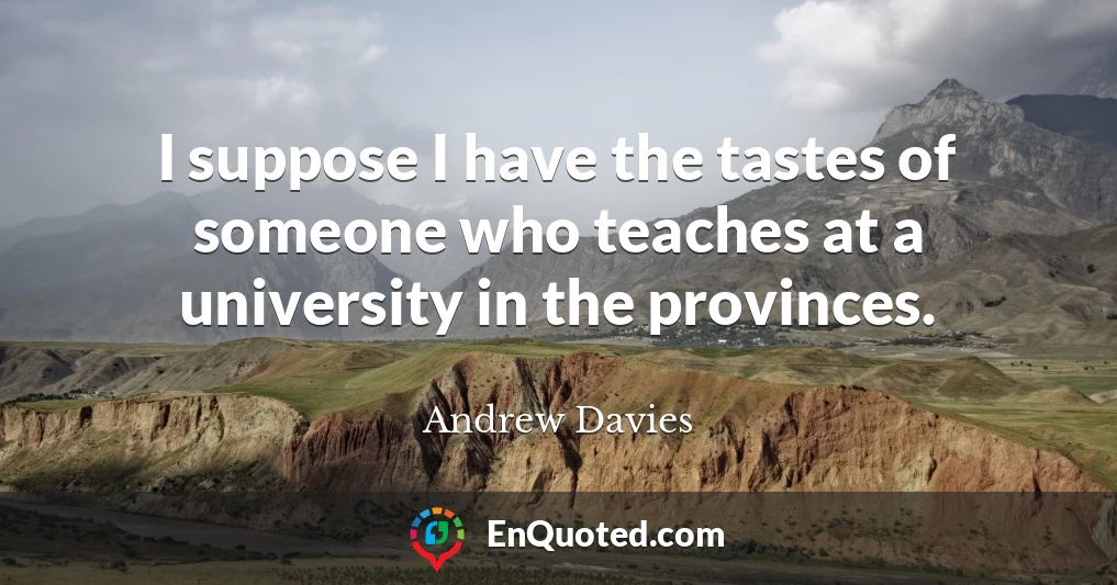 I suppose I have the tastes of someone who teaches at a university in the provinces.