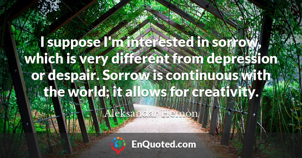 I suppose I'm interested in sorrow, which is very different from depression or despair. Sorrow is continuous with the world; it allows for creativity.
