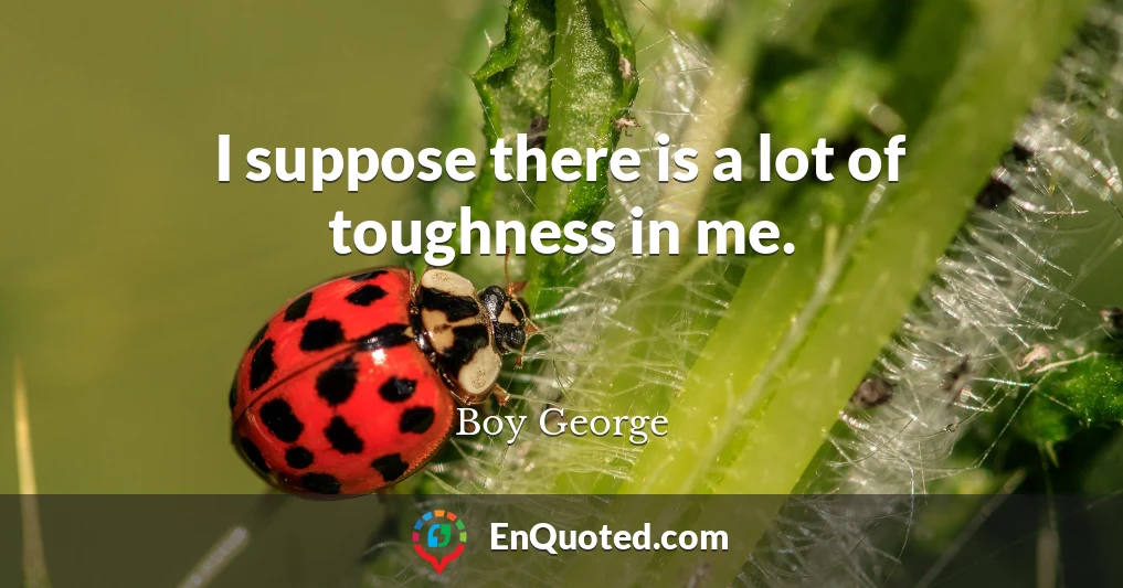 I suppose there is a lot of toughness in me.
